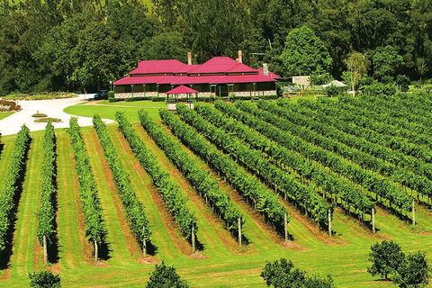 O'Reilly's & Lamington National Park From Gold Coast - Airlie Beach Holiday 2