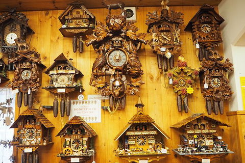 O'Reilly's & Lamington National Park From Gold Coast - Airlie Beach Holiday 5