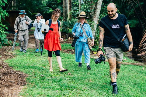 Let's Go Buggin & Let's Go Shroomin - Photography & Nature Walking Tours - Airlie Beach Holiday 0