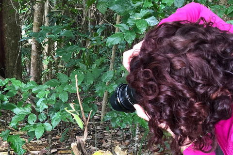 Let's Go Buggin & Let's Go Shroomin - Photography & Nature Walking Tours - Airlie Beach Holiday 1