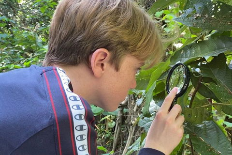 Let's Go Buggin & Let's Go Shroomin - Photography & Nature Walking Tours - Airlie Beach Holiday 3