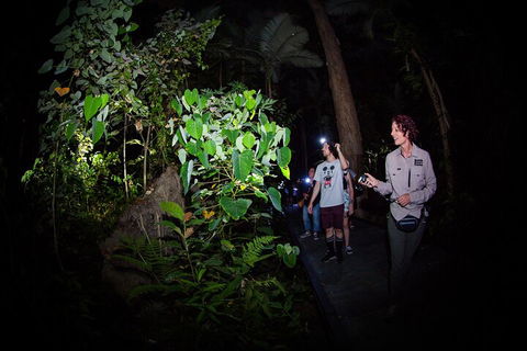 Let's Go Buggin & Let's Go Shroomin - Photography & Nature Walking Tours - Airlie Beach Holiday 4