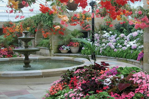 Hobart Half-Day Sightseeing Coach Tram Tour - Airlie Beach Holiday 3