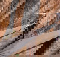 Chillagoe Caves and Outback Day Trip from Cairns - Airlie Beach Holiday