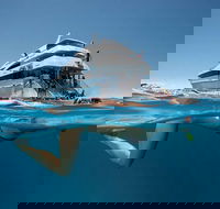 3 Day Great Barrier Reef Daintree Rainforest and Outback Chillagoe Tour - Airlie Beach Holiday