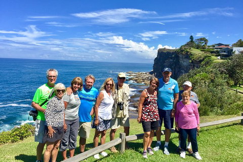 Shore Excursion: Sydney's Northern Beaches & Ku-ring-gai National Park Bus Tour - Airlie Beach Holiday 0