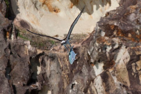 North Stradbroke Island Private Tour With Pickup - Airlie Beach Holiday 2