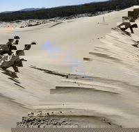 Port Stephens Bush Beach and Sand Dune 4WD Tag-Along Tour - Airlie Beach Holiday