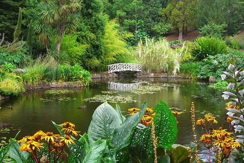 Hobart City Sightseeing Tour Including MONA Admission - Airlie Beach Holiday 3