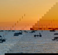 Darwin Shore Excursion Hop-on Hop-off Bus Tour - Airlie Beach Holiday