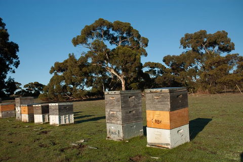 Fine Flavours - Full Day Kangaroo Island Food & Wine Tour - Airlie Beach Holiday 1