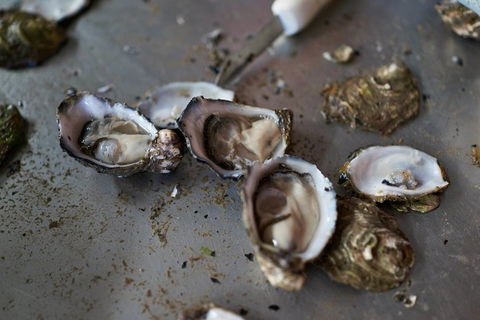 Fine Flavours - Full Day Kangaroo Island Food & Wine Tour - Airlie Beach Holiday 2