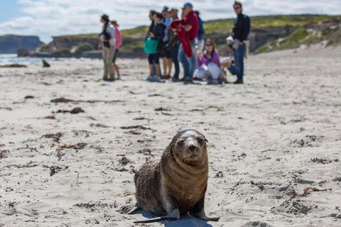 Kangaroo Island In A Day Tour From Adelaide - Airlie Beach Holiday 0