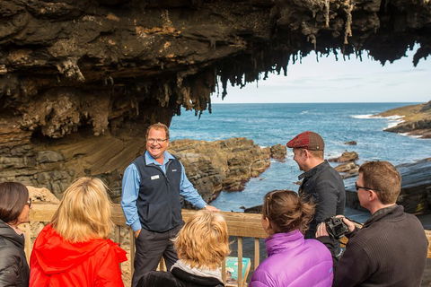 Kangaroo Island In A Day Tour From Adelaide - Airlie Beach Holiday 3