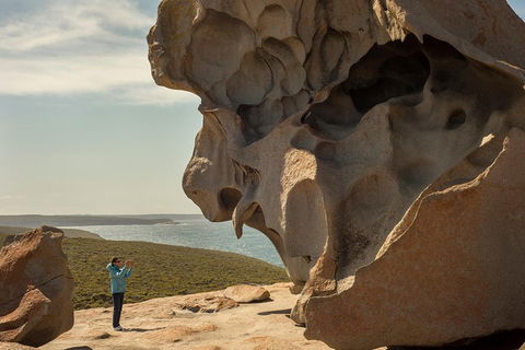 Kangaroo Island In A Day Tour From Adelaide - Airlie Beach Holiday 5