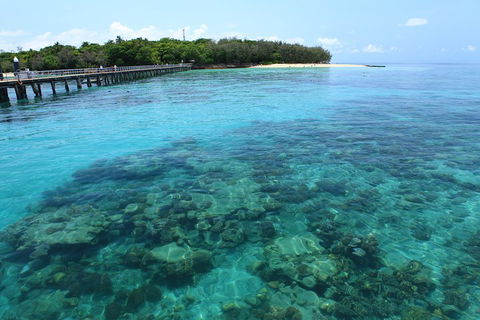 Cairns City Sights And Surrounds Tour - Airlie Beach Holiday 1
