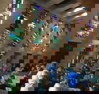 Cairns Shore Excursion Cairns City Sights  Surrounds Tour - Airlie Beach Holiday