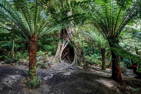 Adelaide To Melbourne 3-Day Trip Through Grampians And Great Ocean Road - Airlie Beach Holiday 0