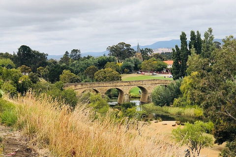 Day Tour In Mt. Field, Mt. Wellington, Bonorong Wildlife Sanctuary And Richmond - Airlie Beach Holiday 3