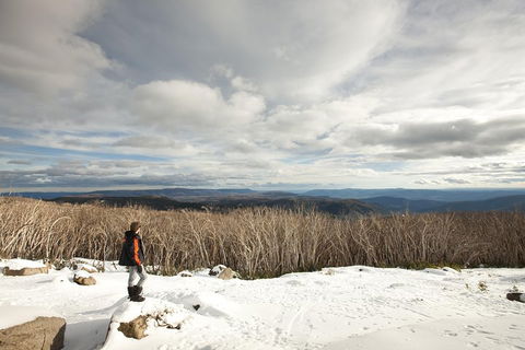 Lake Mountain Snow Trip Including Yarra Valley Chocolaterie From Melbourne - Airlie Beach Holiday 5