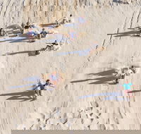 Unlimited Sandboarding - Airlie Beach Holiday