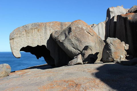 Kangaroo Island Personal Group Tours - Airlie Beach Holiday 2