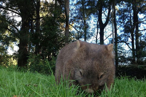 From The Mountains To The Bay - 4 Day Rediscovery Private Tour - Airlie Beach Holiday 5