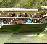 Hartley's Crocodile Adventure Half-Day Tour - Airlie Beach Holiday
