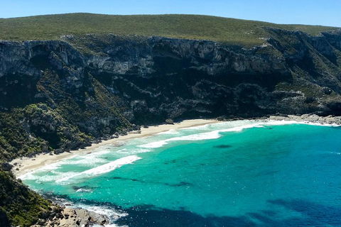 Kangaroo Island Scenic Trail Tour - Airlie Beach Holiday 4