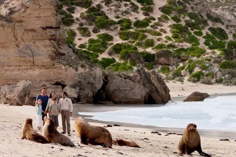 Kangaroo Island Scenic Trail Tour - Airlie Beach Holiday 5