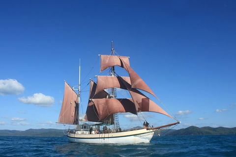 Sydney Harbour Tall Ship Whale & Sail - Whale Watching Cruise - Airlie Beach Holiday 1