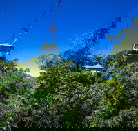 Classic Kuranda by Skyrail and Scenic Railway Including Rainforestation Koala and Wildlife Park and Pamagirri Aboriginal Experi - Airlie Beach Holiday