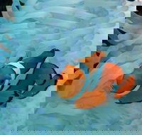 Seastar Luxury Outer Great Barrier Reef Island and Reef Tour from Cairns - Airlie Beach Holiday