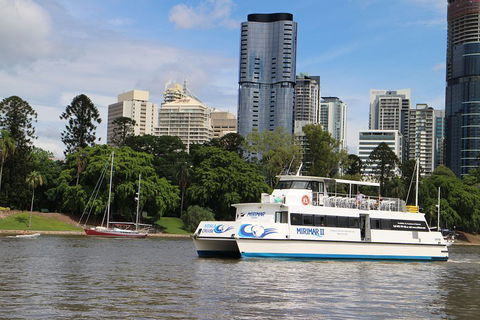 Lone Pine Koala Sanctuary Admission With Brisbane River Cruise - Airlie Beach Holiday 2