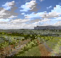 Hunter Valley Wine Tour from Sydney incl Lunch Cheese Chocolate and Distillery - Airlie Beach Holiday