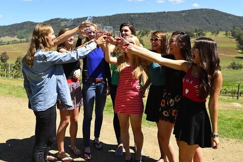 Hunter Valley Wine Tour From Sydney Incl Lunch, Cheese, Chocolate And Distillery - Airlie Beach Holiday 3