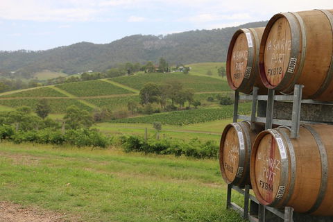 Hunter Valley Wine Tour From Sydney Incl Lunch, Cheese, Chocolate And Distillery - Airlie Beach Holiday 5