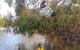Kangaroo Island Self-Guided Kayaking On The Harriet River - thumb 4