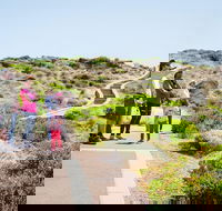 Margaret River Coastal and Wildlife Eco Trip from Busselton or Dunsborough - Airlie Beach Holiday