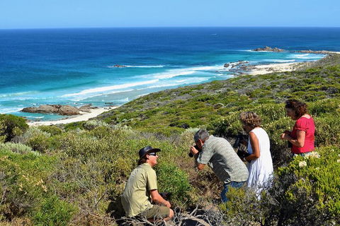 Margaret River Coastal And Wildlife Eco Trip From Busselton Or Dunsborough - Airlie Beach Holiday 2