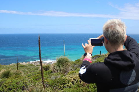 Margaret River Coastal And Wildlife Eco Trip From Busselton Or Dunsborough - Airlie Beach Holiday 3